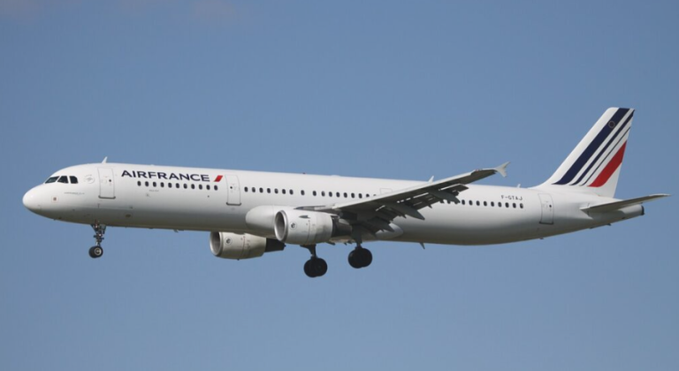 E pazakontë në Paris, pistat në aeroportin “Charles de Gaulle” mbyllen për të kërkuar një qen të arratisur