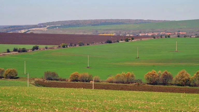 Kadastra “zgjohet” për zgjedhje, regjistrimi i titujve të tokës bujqësore shënoi rekord në 2025